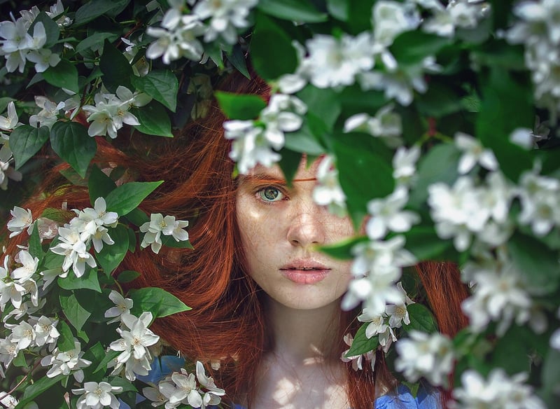 Floral Enchantment