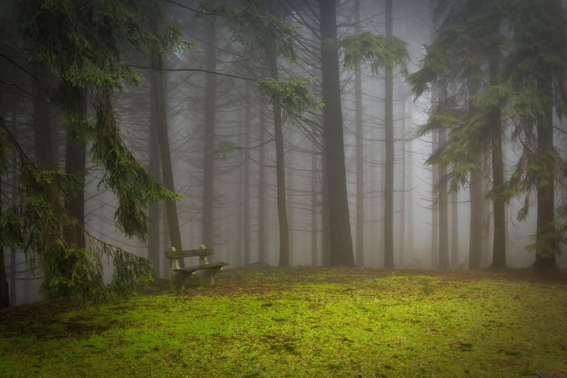 Mystic Clearings