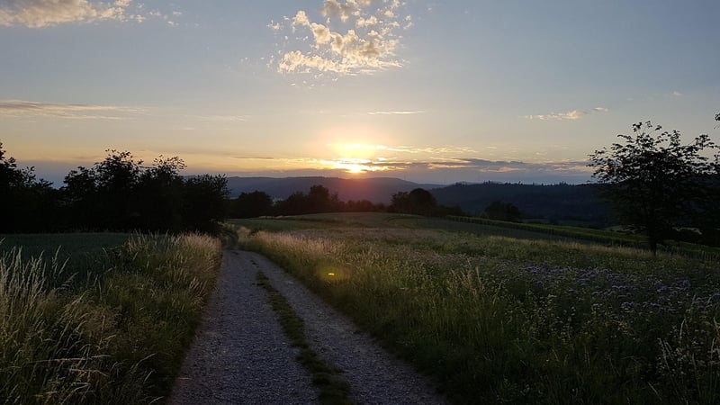 Magical Black Forest, Germany