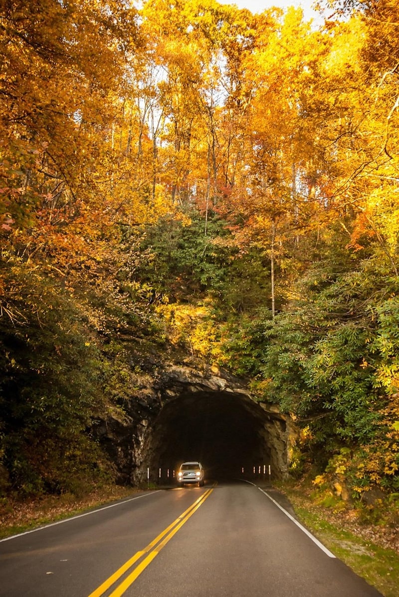 Whimsical Blue Ridge Mountains, North Carolina